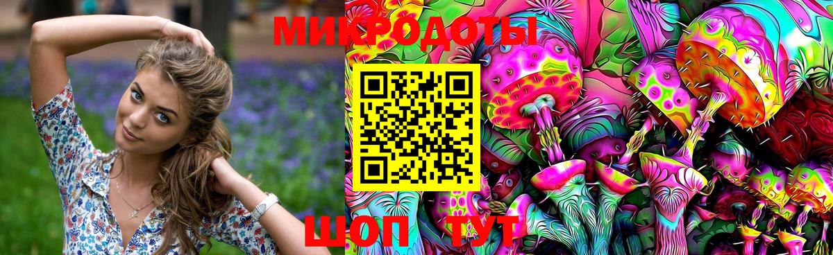 Камень-на-Оби  где купить наркотик  Вход с VPN  Псилоцибиновые грибы Magic Shrooms 